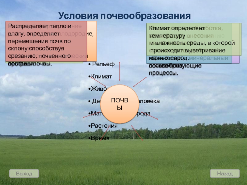 Факторы почвообразования схема