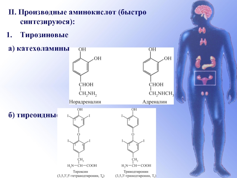 Производные аминокислот