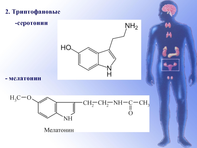 Серотонин молодость внутри. Серотонин и мелатонин. Мелатонин химическая природа. Предшественник мелатонина. Формула серотонина и мелатонина.