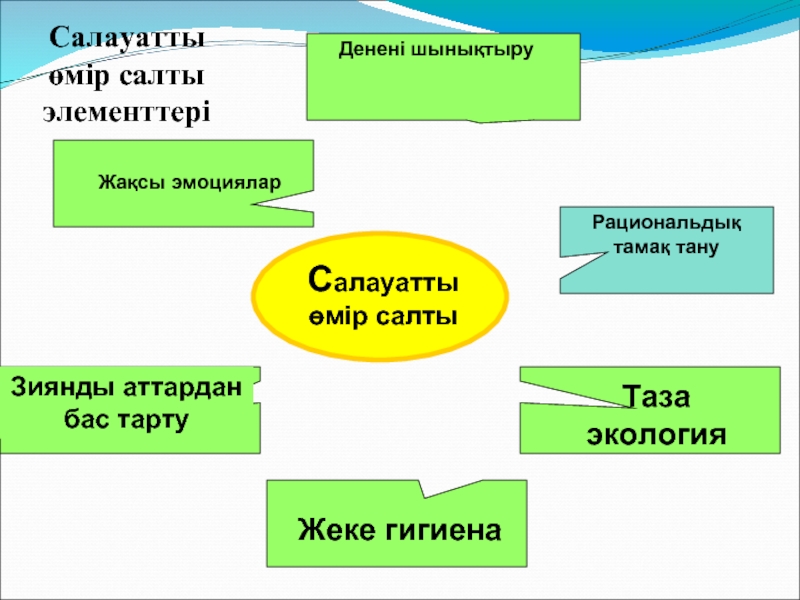 Жалпы гигиена презентация