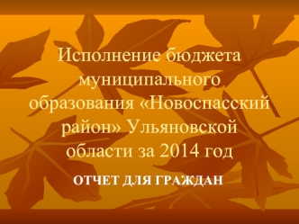 Исполнение бюджета муниципального образования Новоспасский район Ульяновской области за 2014 год