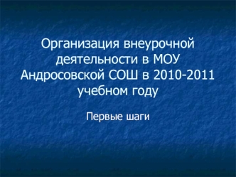 Организация внеурочной деятельности в МОУ Андросовской СОШ в 2010-2011 учебном году