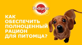 Полноценный рацион питания для собаки Pedigree
