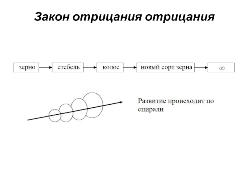 Закон отрицания отрицания примеры