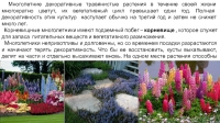Многолетние декоративные травянистые растения