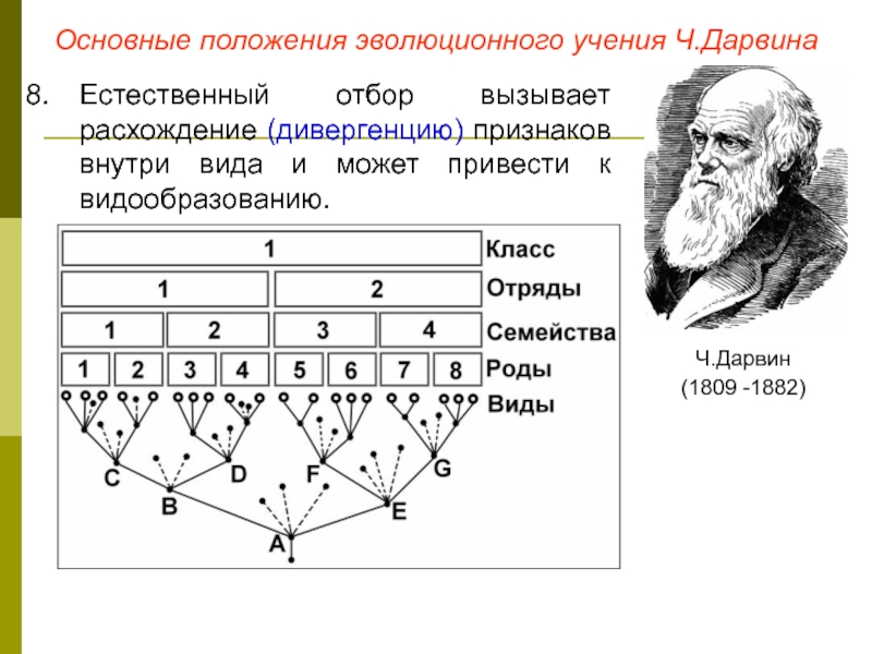 Развитие эволюционного учения ч дарвина 9 класс презентация
