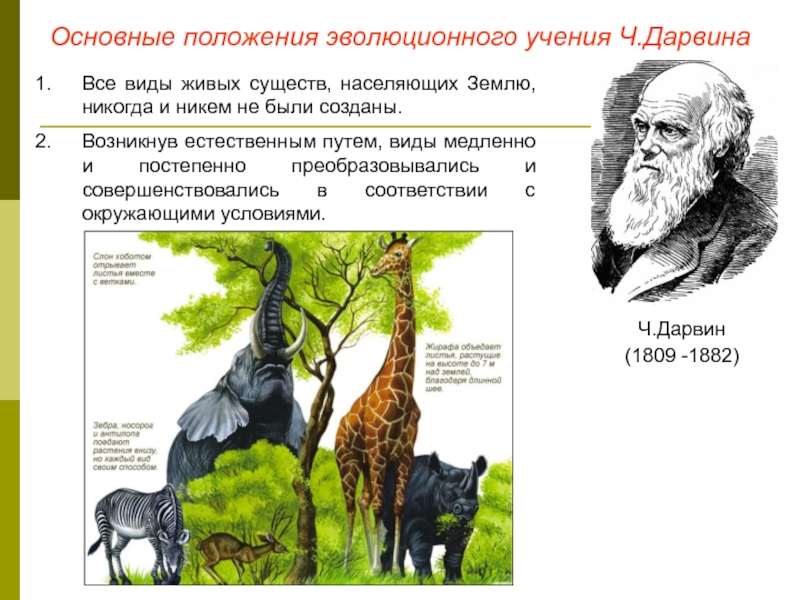 Человек как уникальный вид живой природы презентация 10 класс пономарева