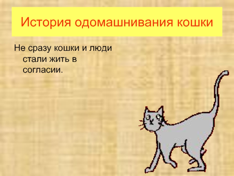 Рассказ о кошке. История приручения кошек. История одомашнивания кошек. Одомашнивание кошек презентация. Одомашнивание кошек доклад.