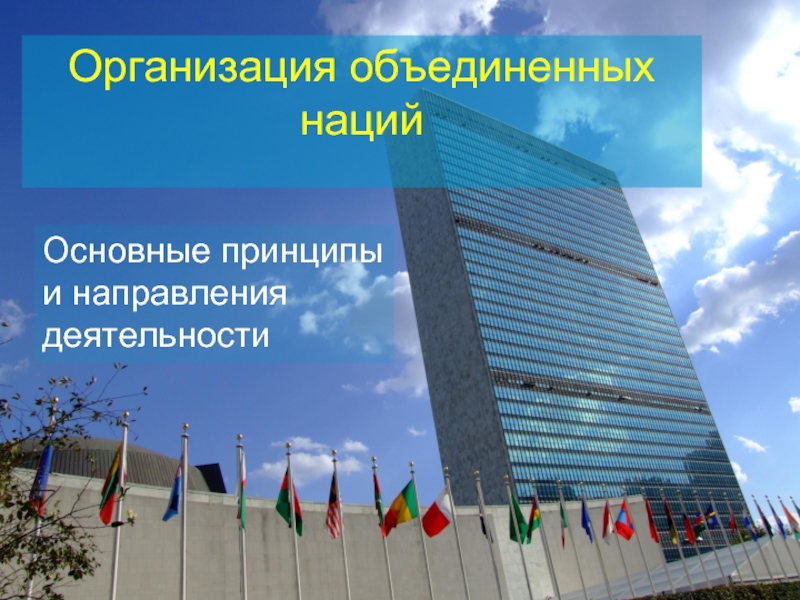 Организация объединенных нацийОсновные принципы и направления деятельности