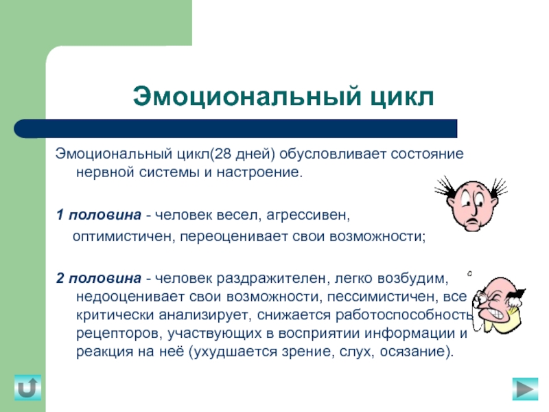 1 половина человека. Эмоциональный цикл. Эмоциональное состояние и циклы. Что регулирует эмоциональный цикл. Эмоциональный цикл перемен.