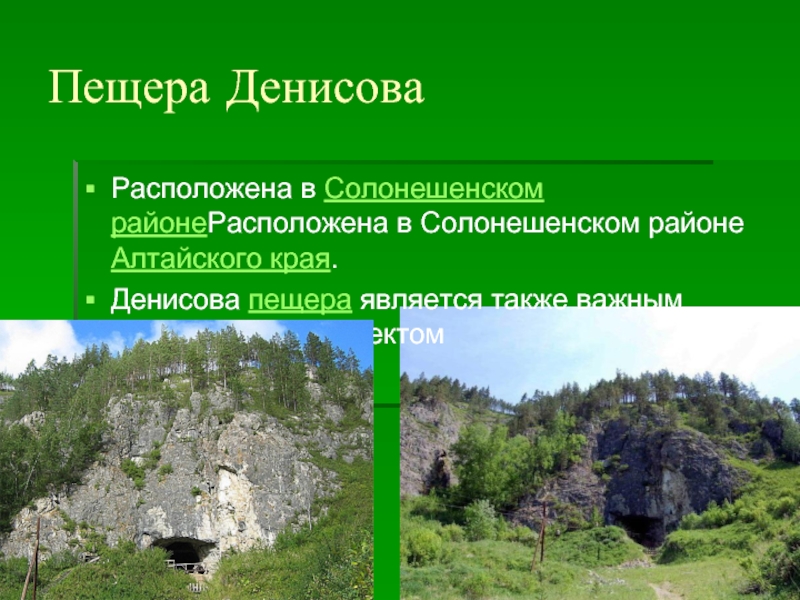 Перечислить края. Солонешенский район Денисова пещера. Денисова пещера Алтайский край на карте. Достопримечательности Алтайского края презентация Денисовы пещеры. Денисова пещера презентация.