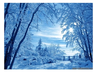 Викторина Зимний лес - чудесная сказка