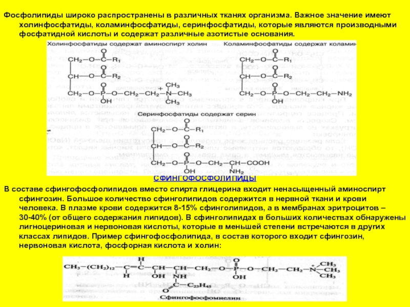 Чем отличаются фосфолипиды от остальных липидов