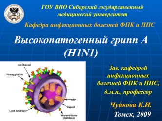 Высокопатогенный грипп А (H1N1)