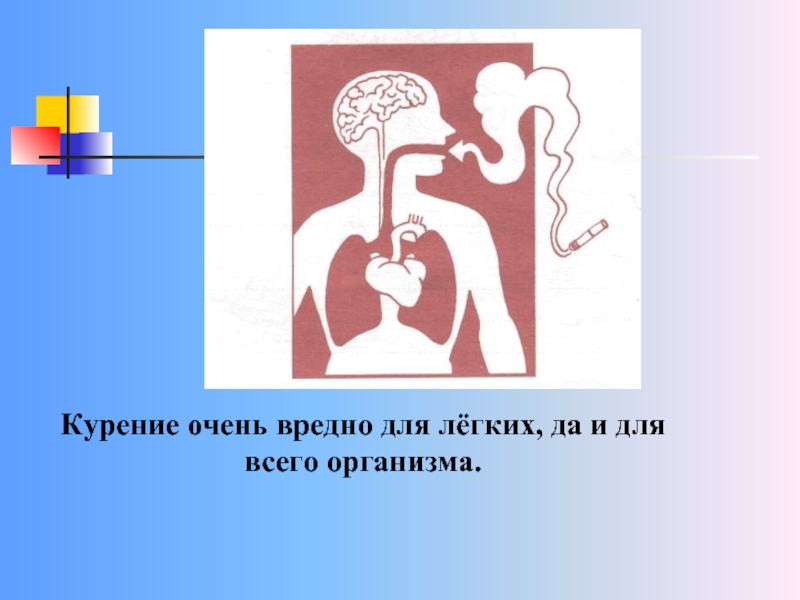 Очень вреден. Вредные привычки курение легкие. Курение рисунок как вредная привычка. Вредные привычки для легких. Схема у курящего человека.