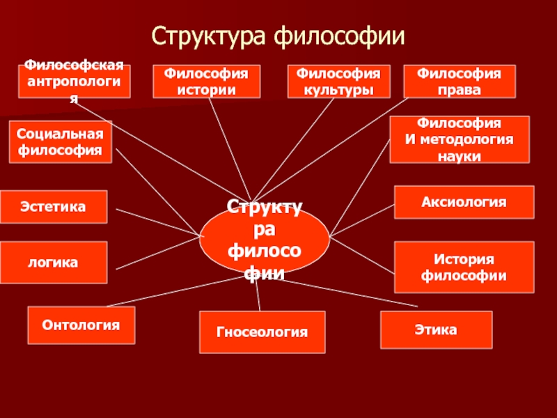 Составьте схему структура философии