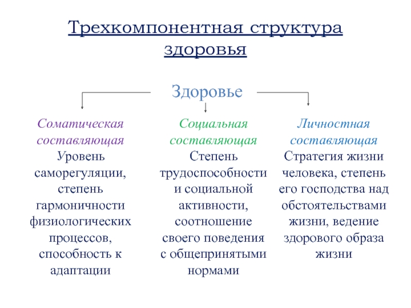 Социально составляющая здоровья