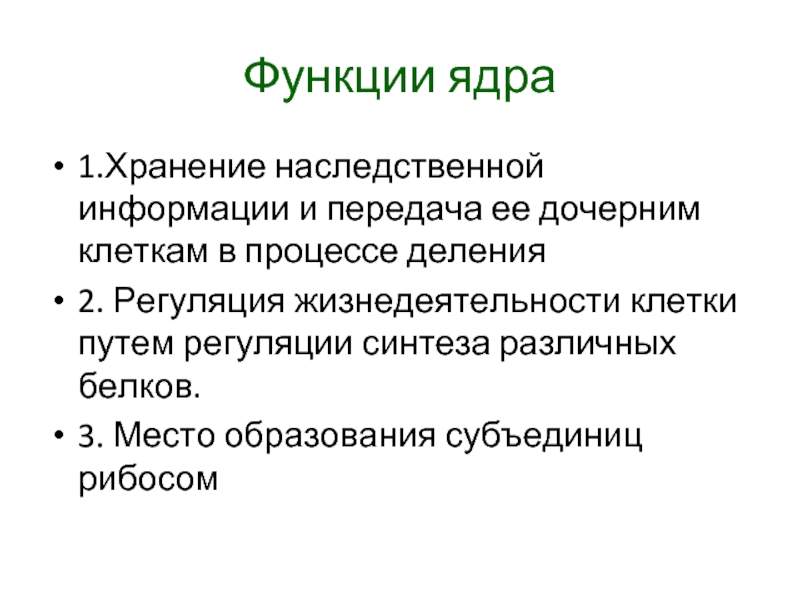 Наследственная информация в дочерних клетках