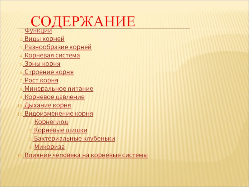 Слова содержащие корень. Дыхание корня презентация 6 класс. Доклад на тему дыхание корня. Корневое дыхание.