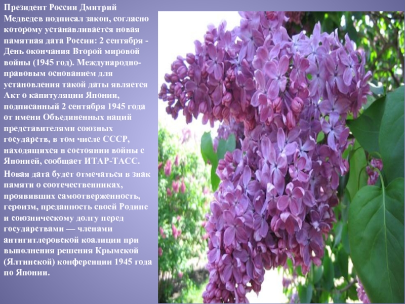 Президент России Дмитрий Медведев подписал закон, согласно которому устанавливается новая памятная дата России: 2 сентября