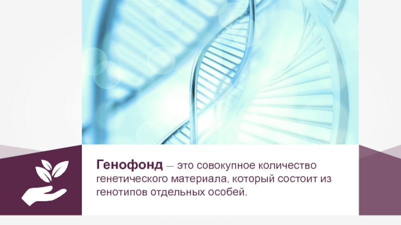 Генофонд это. Генофонд Грин. Генофонд логотип. Генофонд Санкт Петербург. Генофонд Тюмень.