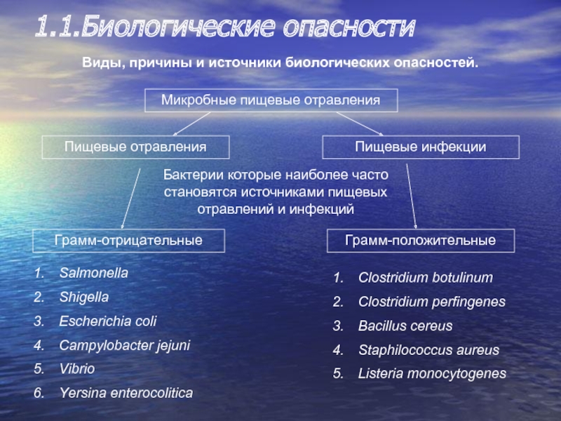 Источник биологии информация