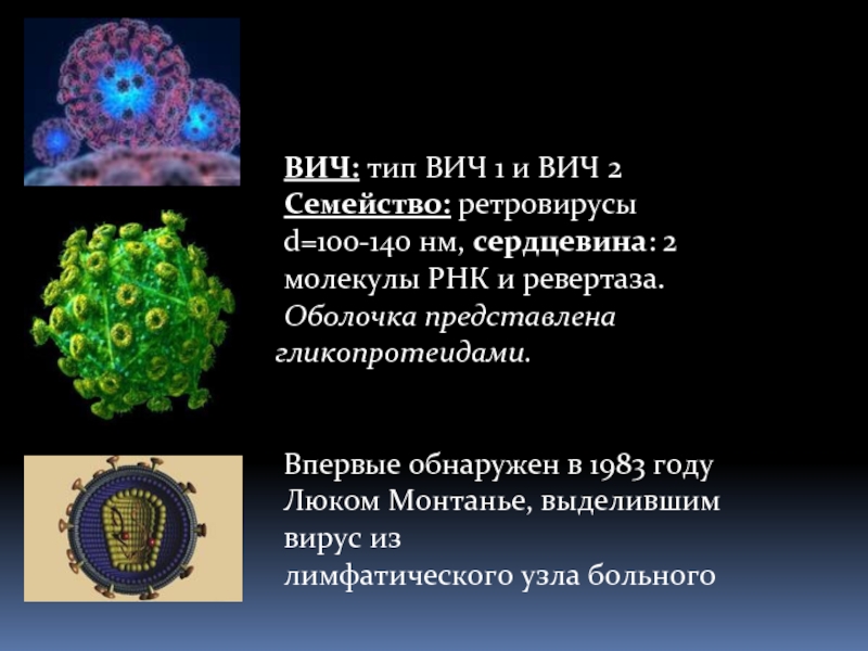 Дайте общую характеристику вирусов. РНК вирусы ретровирусы. Ретровирусы Синтез белка. Характеристика вируса ВИЧ ревертаза. Ретровирус ВИЧ.