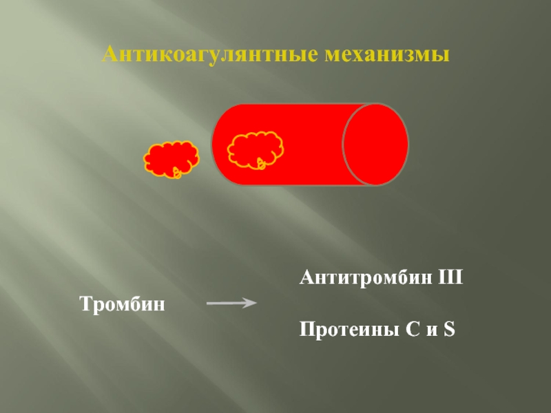 Гемостазиология. Антитромбин lll и протеин с. Тромбин. Антитромбин lll механизм. Клиническая гемостазиология.