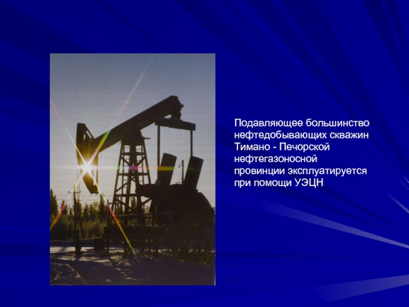 Тимано печорская. Тимано Печорская нефтяная провинция. Печорское месторождение нефти. Тимано Печорская нефтяная база. Печора нефтяное месторождение.