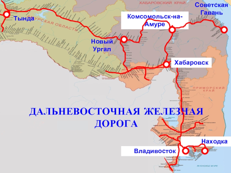 Доклад по теме Транспортная схема Суйфэньхэ-Гродеково-Уссурийск-Хабаровск