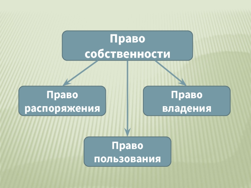 Универсальные нравственные нормы