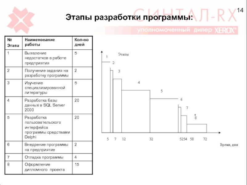 Этапы программы. Этапы разработки web представительства.