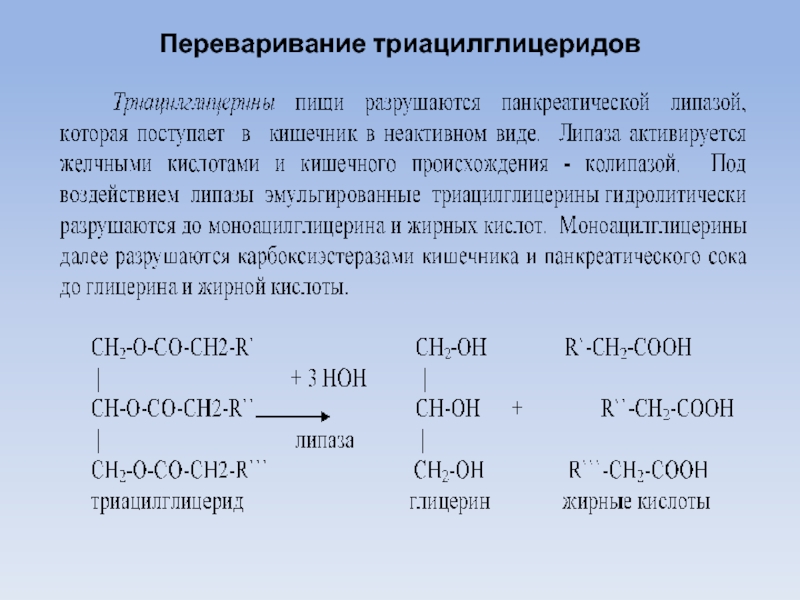 Полная характеристика реакции. Распад триоцилглицерида.. Внутриклеточный катаболизм триацилглицеридов. Распад триацилглицеринов биохимия реакции. Липолиз триацилглицеридов.