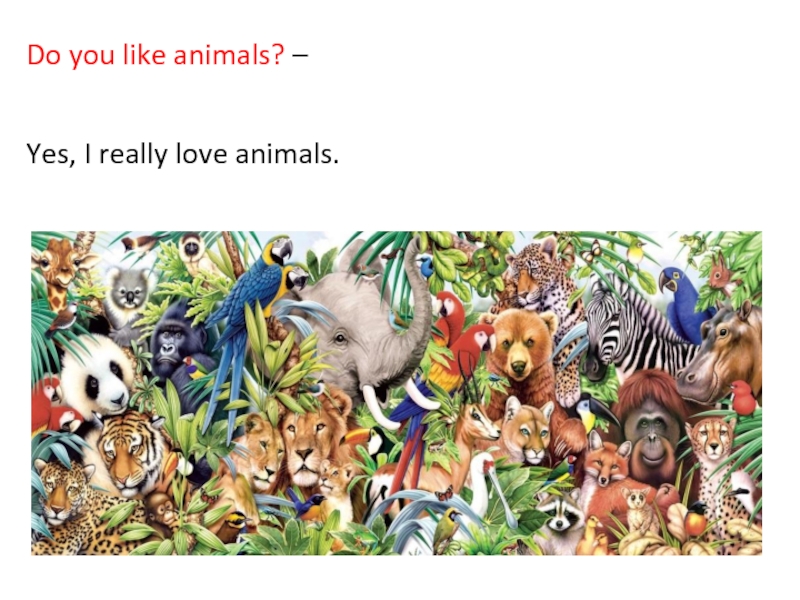 Do you like animals. Лайк Энималс. Animals i like. Does they like animals.