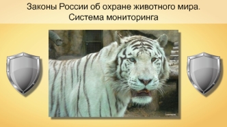 Законы России об охране животного мира. Система мониторинга