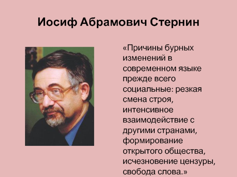 Язык и национальная картина мира стернин