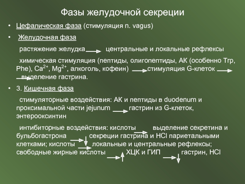 Стимулированная секреция желудка. Фазы желудочной секреции физиология. Стимуляция желудочной секреции. Желудочная фаза желудочной секреции. Регуляция желудочной секреции и ее фазы.