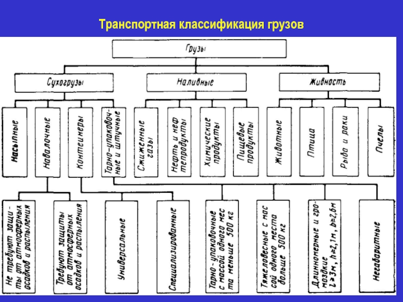 Скоропортящиеся грузы презентация