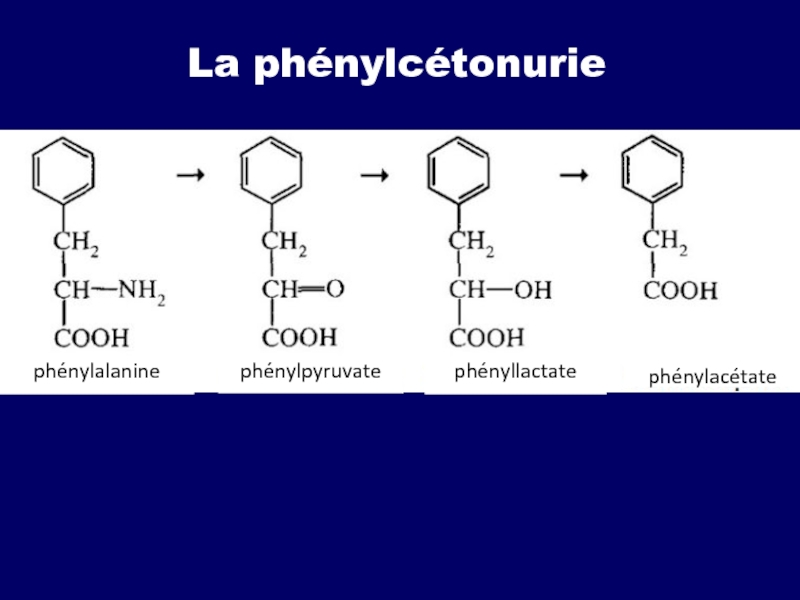 Фенилаланин. Фенилаланин с формальдегидом. Фенилаланин pcl5. Фенилацетат и глутамин.
