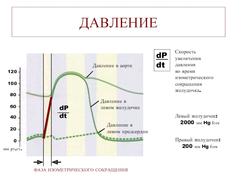 Линия давления. Давление в желудочках. Давление в левом желудочке. Повышение давления в аорте. При повышении давления в аорте.