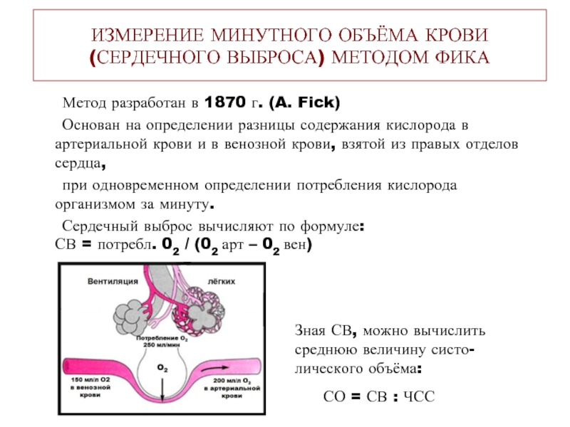 Выброс сердца. Метод определения величины сердечного выброса. Метод фика для определения минутного объема. Измерение сердечного выброса методом фика. Определение сердечного выброса по методу фика.