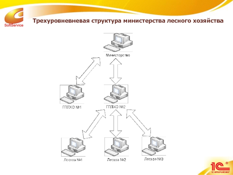 Структура министерства лесного хозяйства