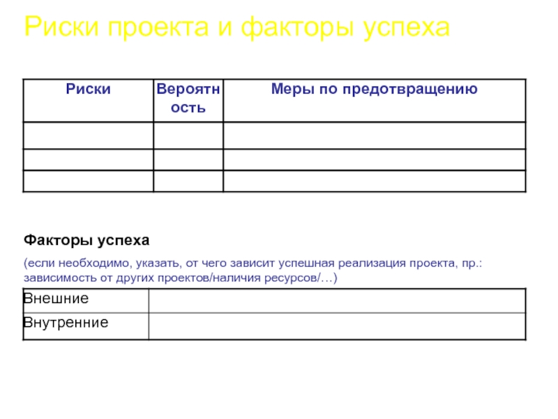 Указать необходимую информацию. Факторы успеха и риски проекта.