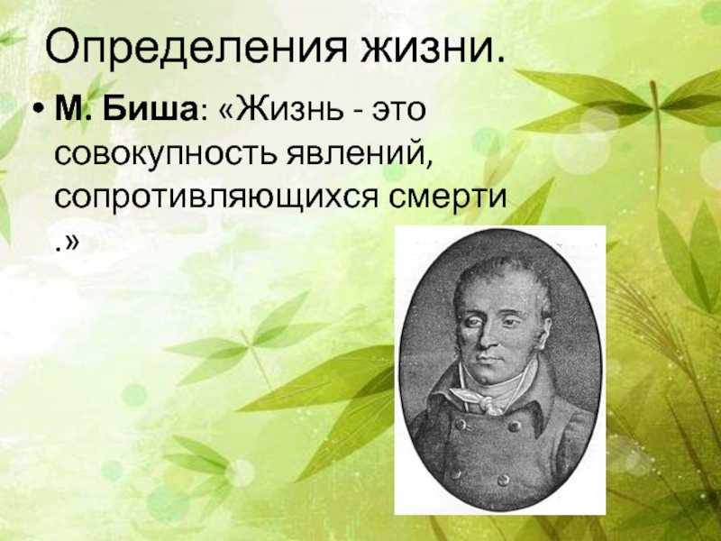 Жизнь определение ученых. Определение жизни. Повседневная жизнь это определение.