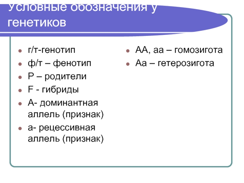 Гомозигота и гетерозигота