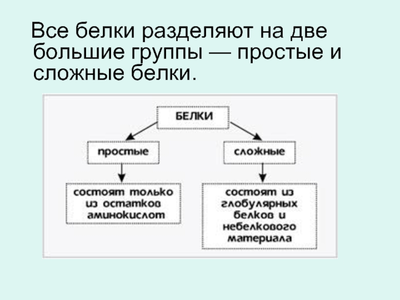 Отделить белки. Белки разделяют на. Деление белков на простые и сложные. Белки разделяются на простые и сложные. Белки делят на простые и сложные..