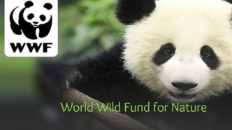 World wild fund for nature