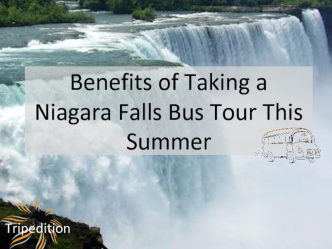Benefits of Taking a Niagara Falls Bus Tour This Summer