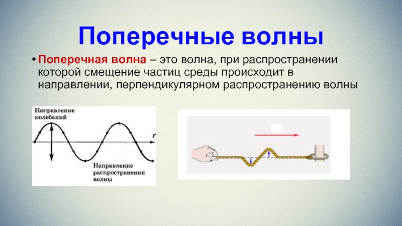 Поперечная волна картинка