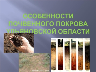Особенности почвенного покрова Ульяновской Области